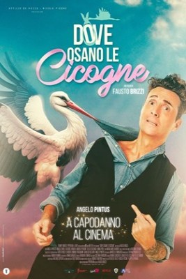 Dove Osano Le Cicogne